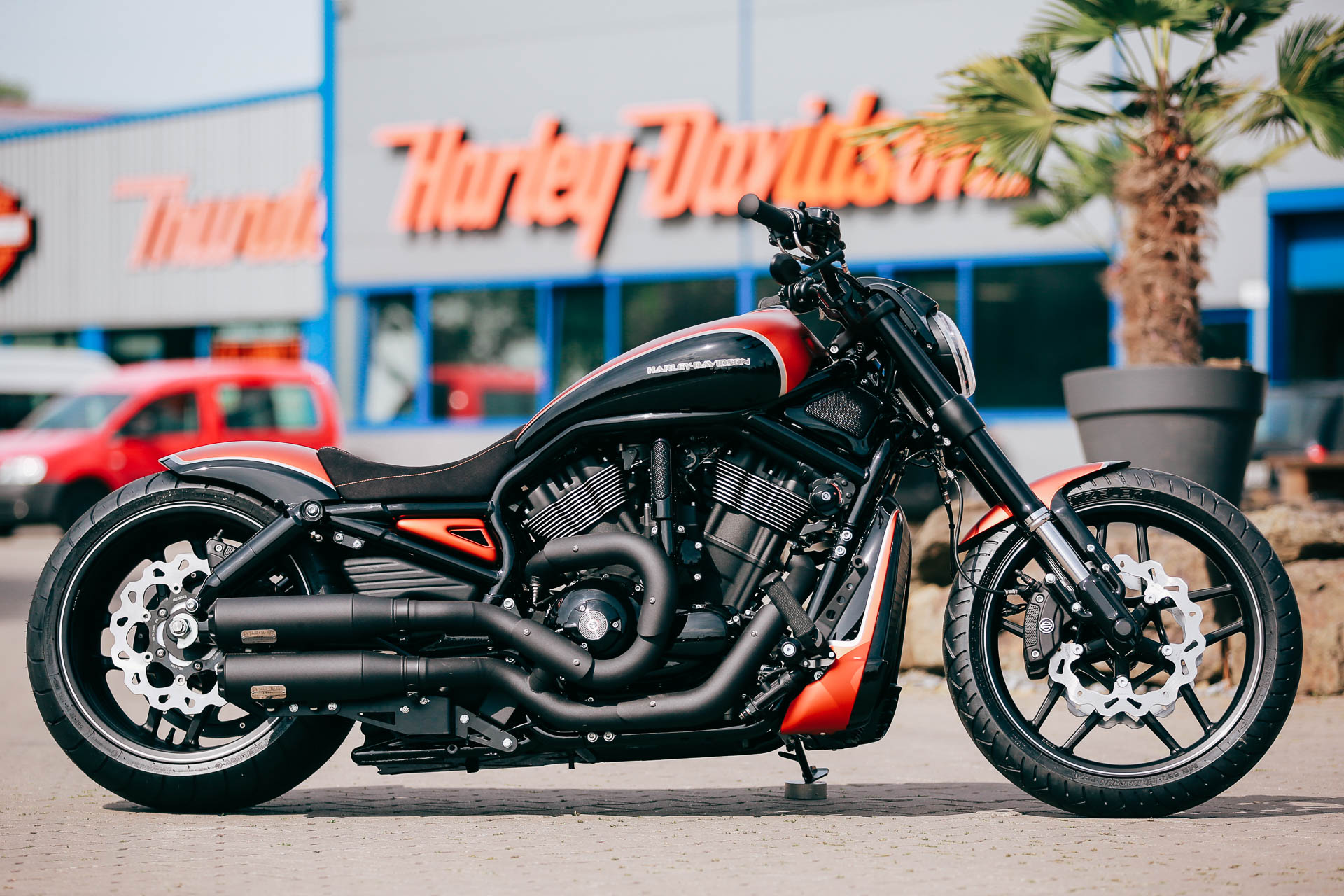 Fitness udvikling synonymordbog Customized Harley-Davidson Night Rod motorcycles by Thunderbike