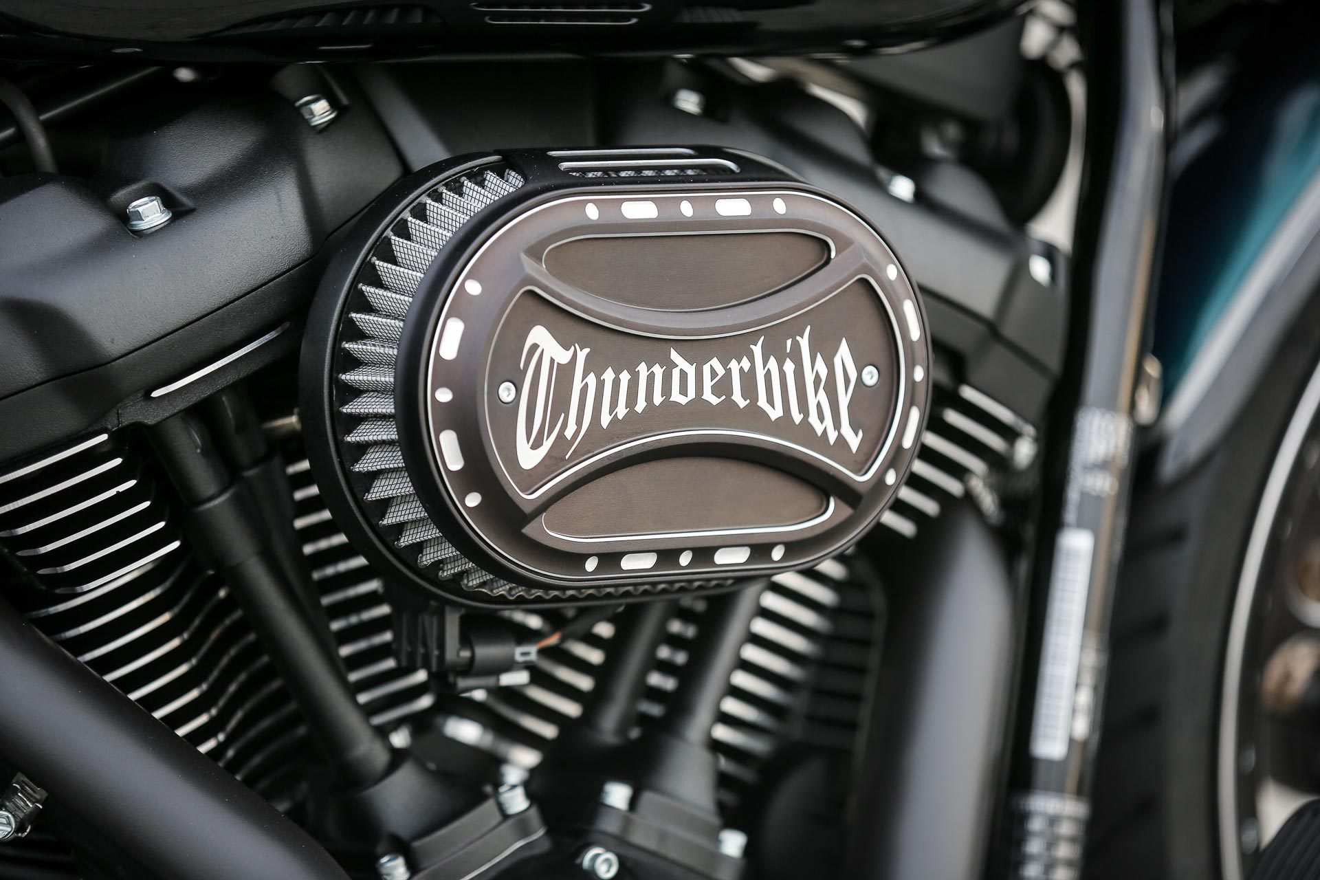 Thunderbike Black Apple • H-D Fat Boy FLFBS Custom Motorcycle