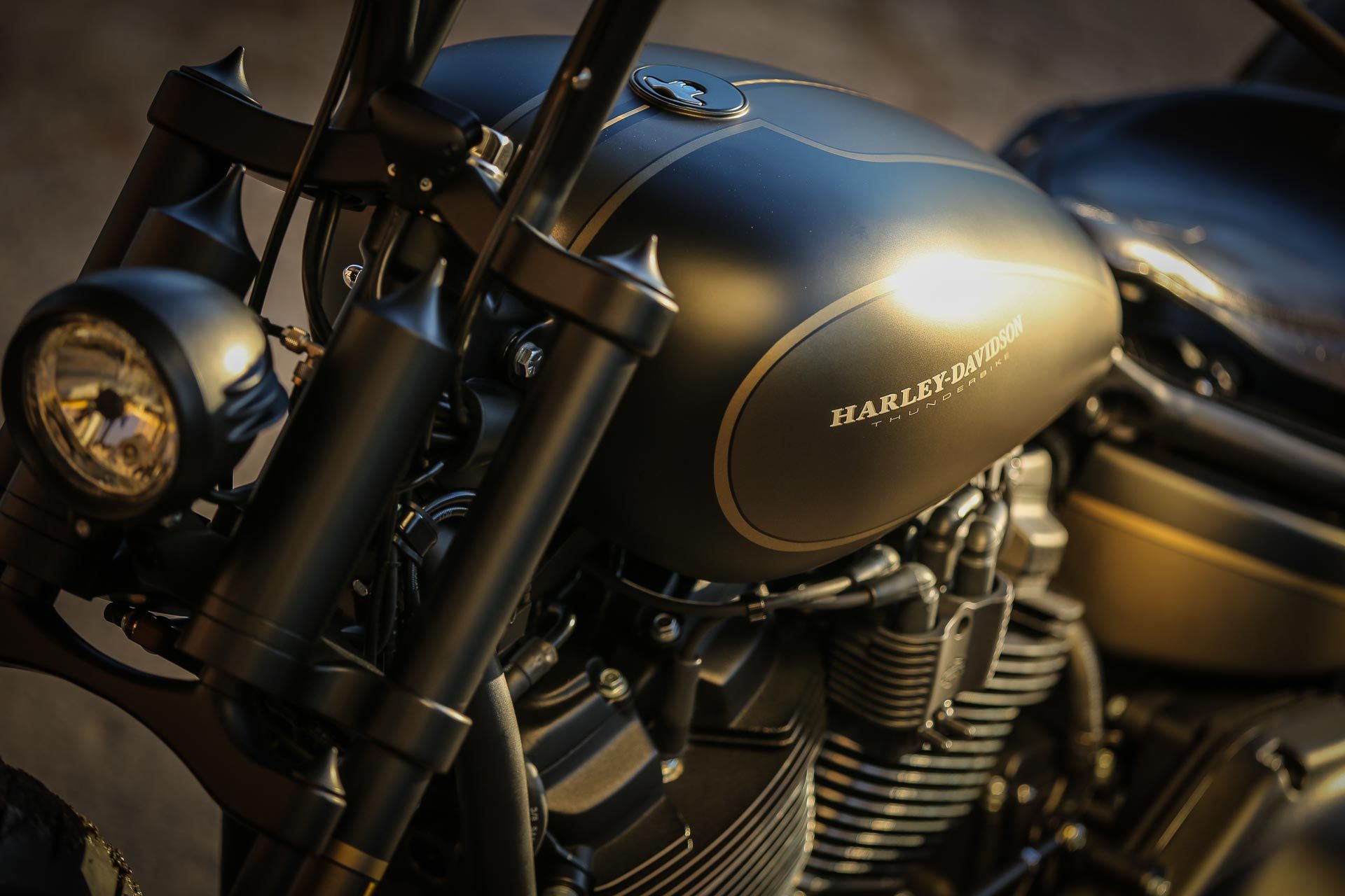 Thunderbike Mitch Style • H-D FXBRS Softail Breakout Custom Motorcycle