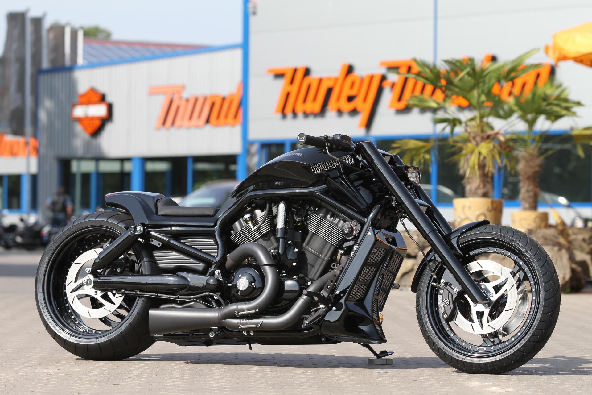 Thunderbike Black Rod • H-D Night Rod VRSCDX Custom Motorcycle