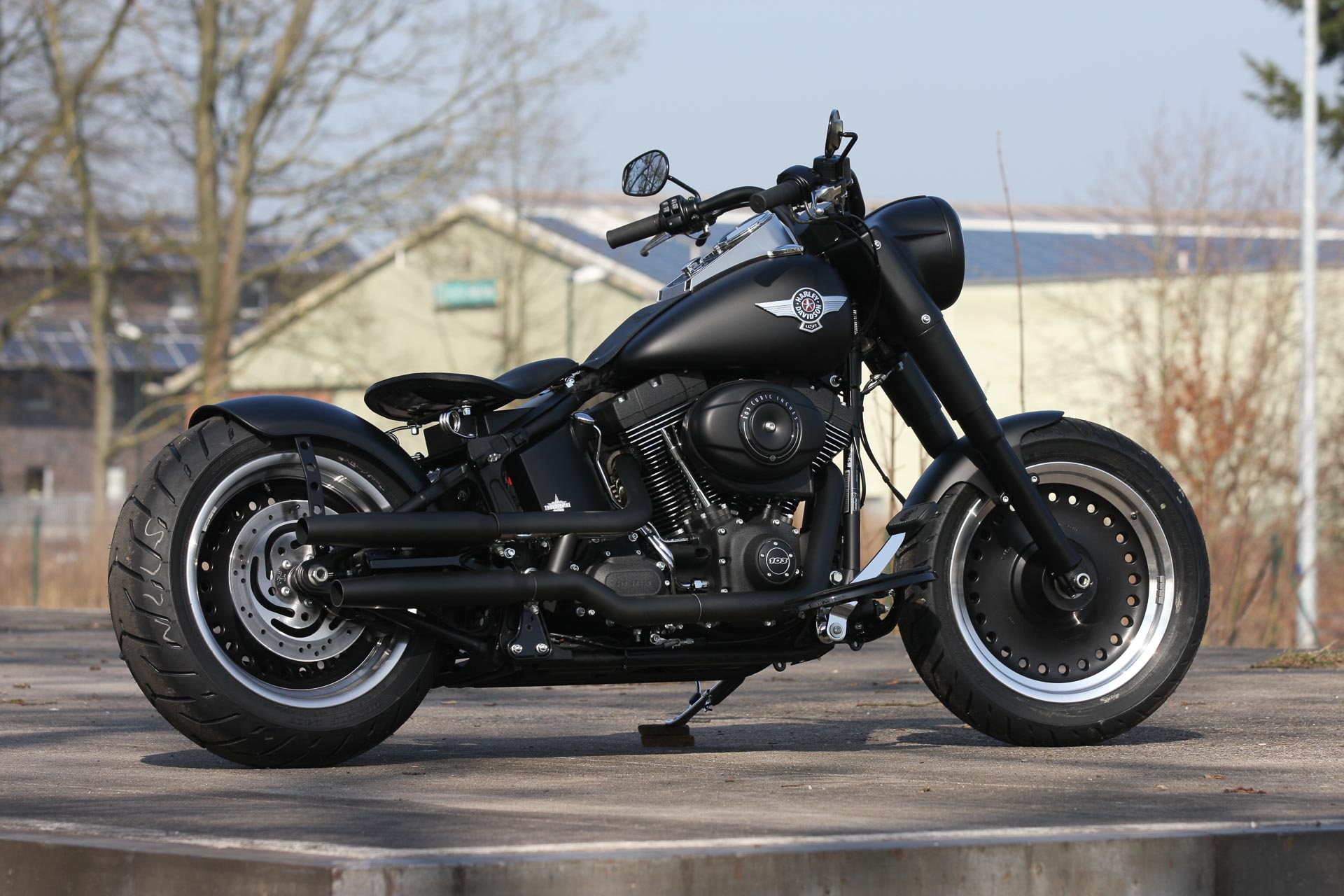Harley Davidson Bad Boy Hotsell, 55% OFF | espirituviajero.com