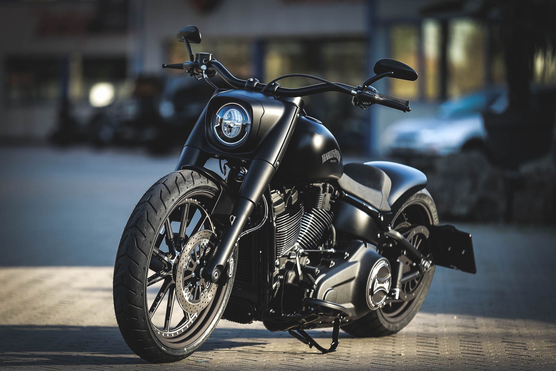 Thunderbike Dark Dude • Customized Harley-Davidson Fat Boy FLFBS