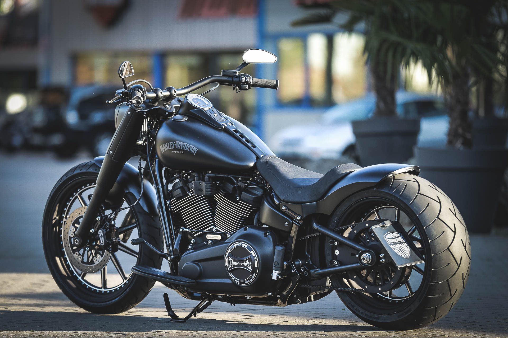 Thunderbike Dark Dude • Customized Harley-Davidson Fat Boy FLFBS