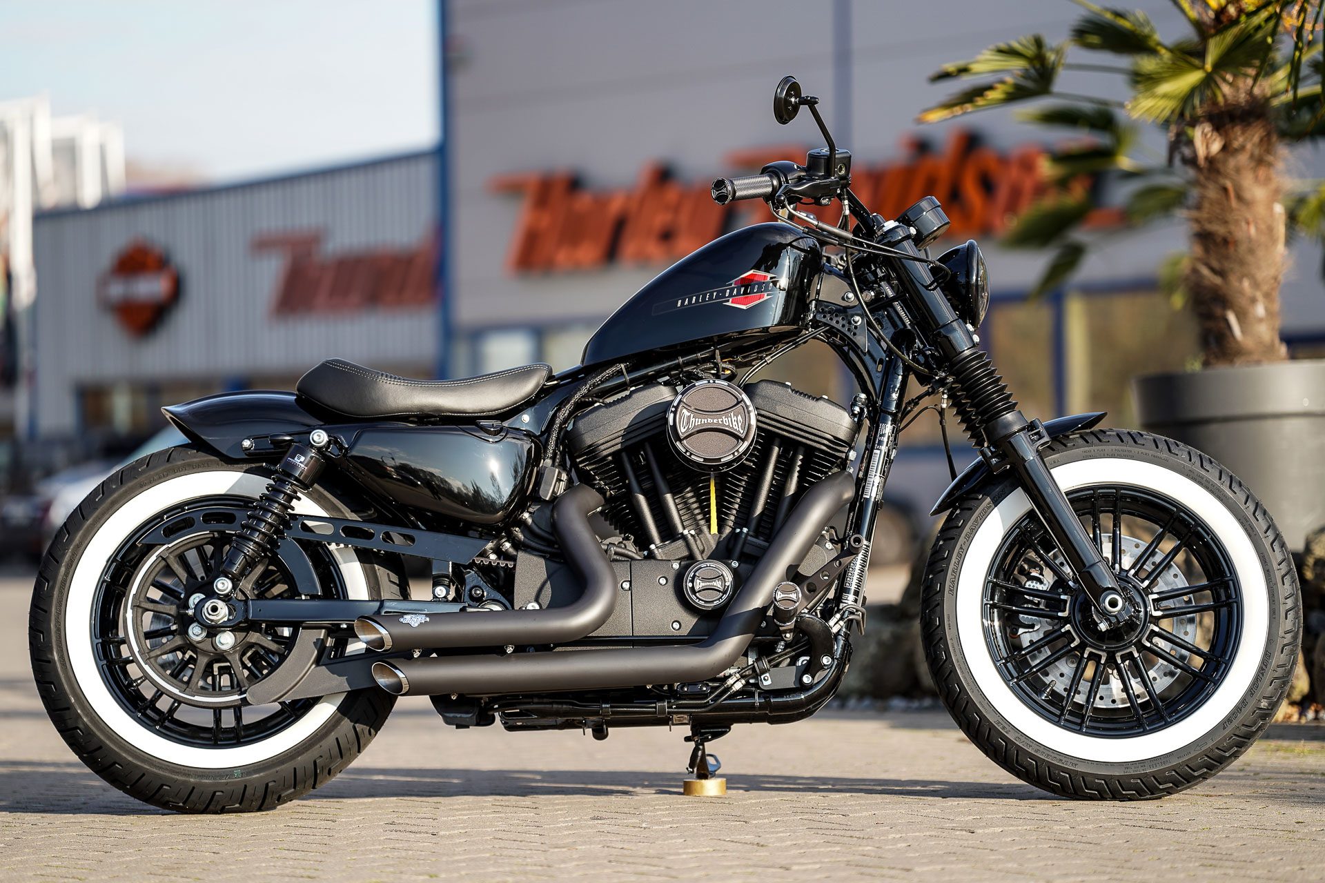 Thunderbike Harmony Customized Harley Davidson Sportster Forty Eight