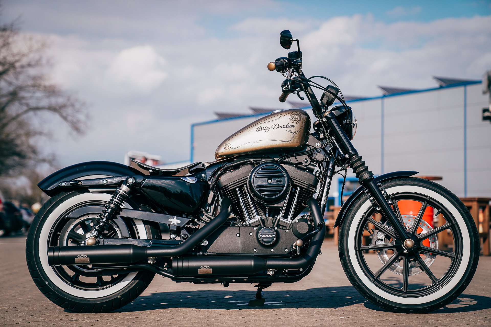 Thunderbike Goldie Harley Davidson Iron 1200 Sportster Customized