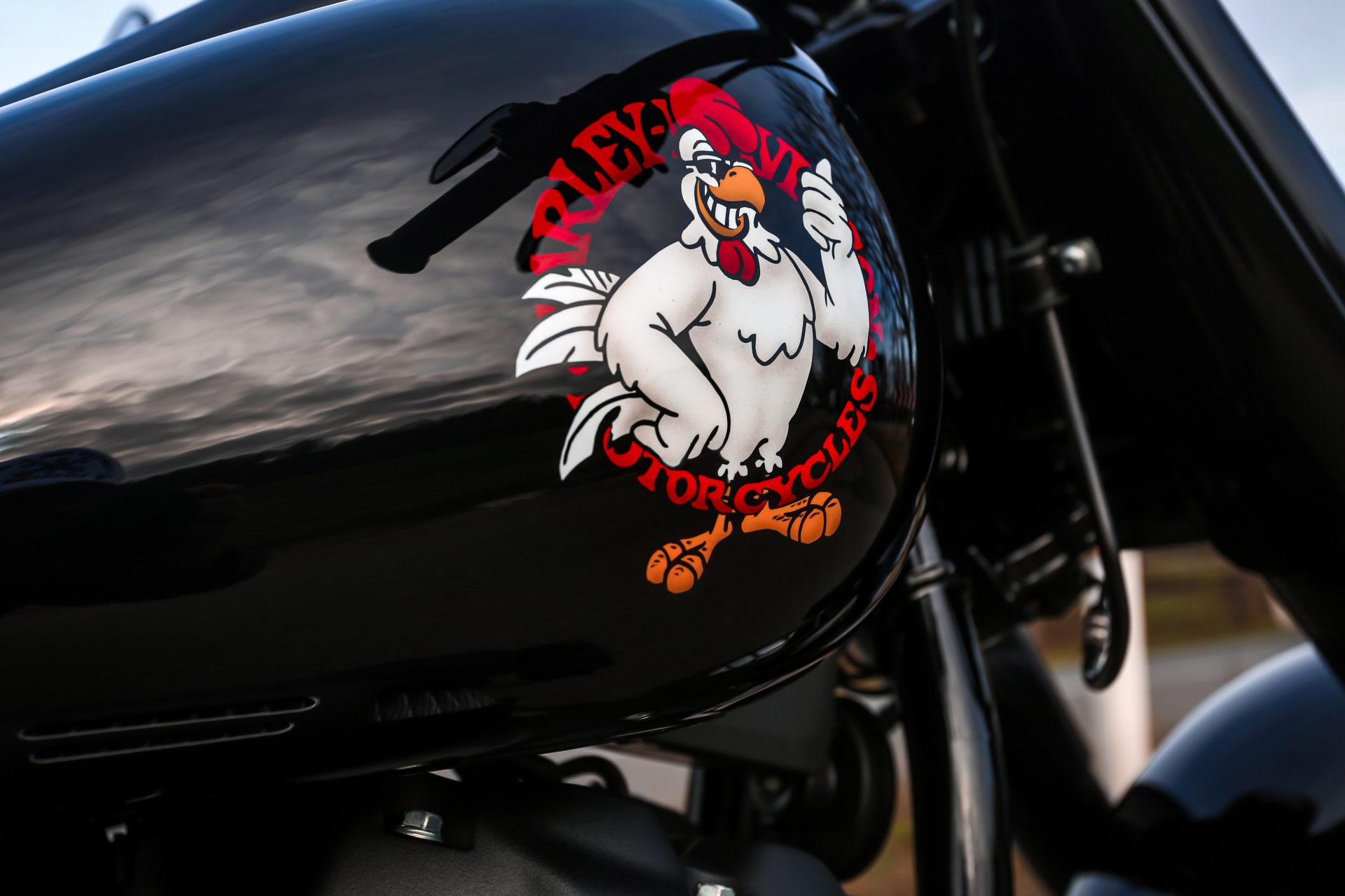 Thunderbike Fat Chicken Harley Davidson Fat Boy Custom Motorcycle