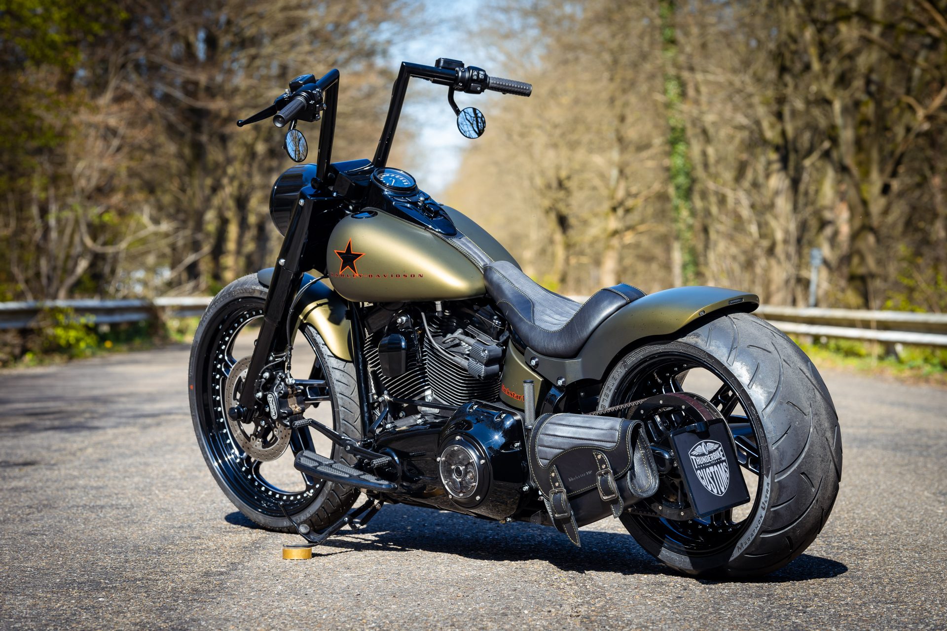 customized Harley-Davidson Softail Slim S. all star harley davidson. 