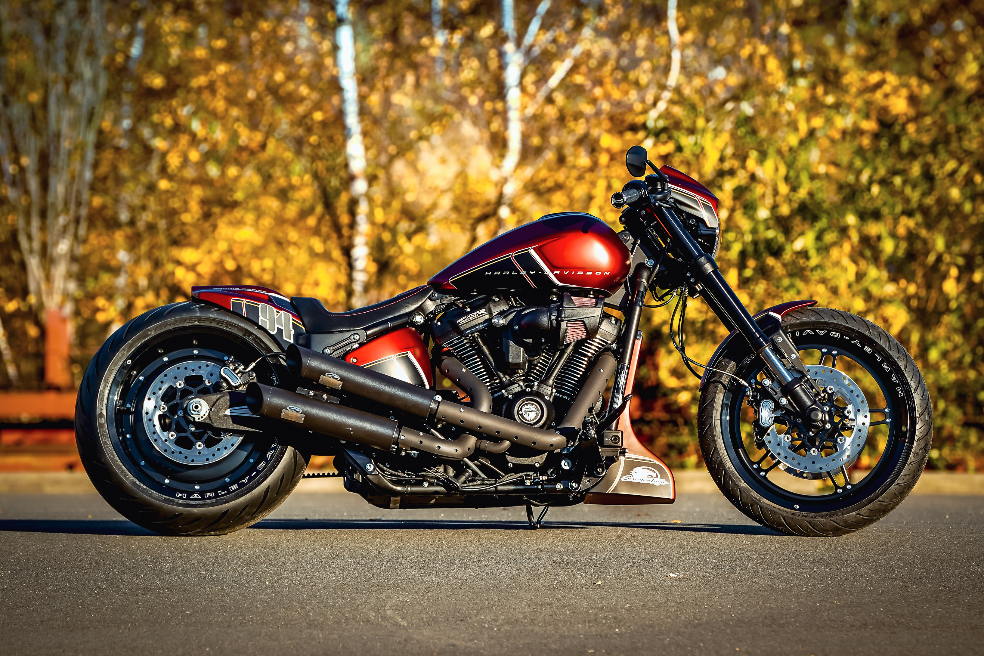 Harley Davidson Custom Bikes - Rev Up Your Screens with Stunning ...