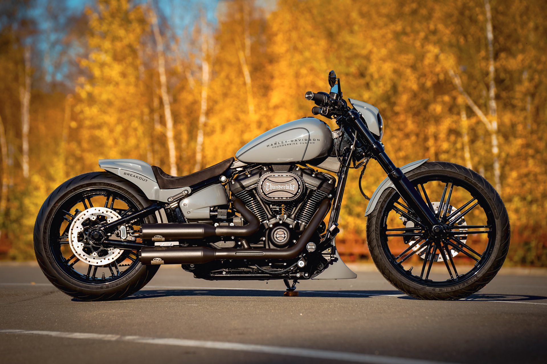 Thunderbike Greyhead Custom Harley Davidson Softail Breakout Fxbrs