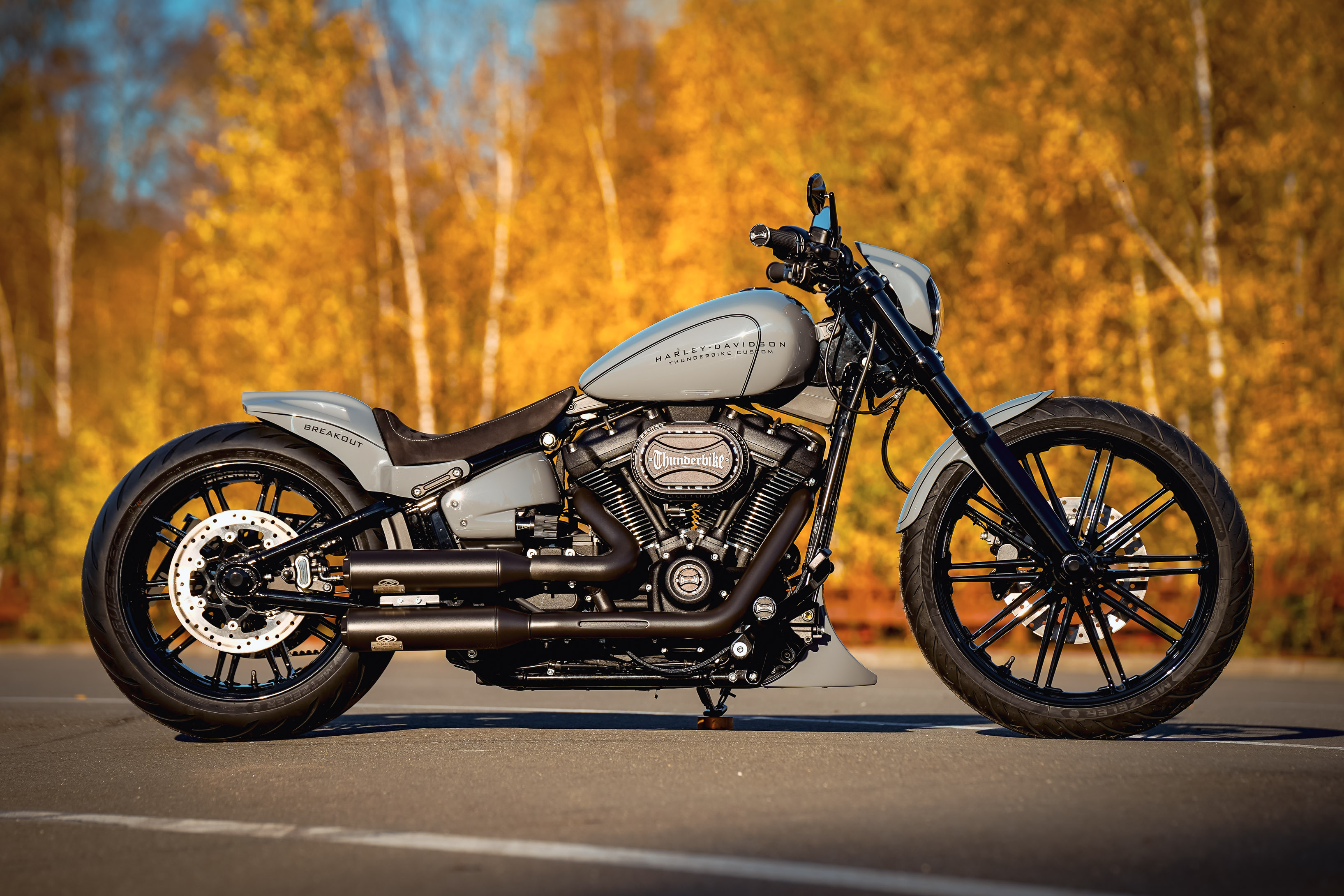Thunderbike Greyhead • Custom Harley-Davidson Softail Breakout FXBRS