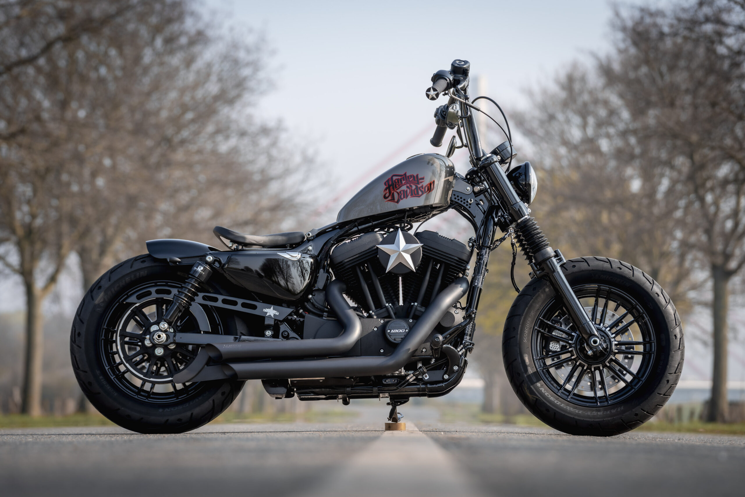 Customized Harley-Davidson Sportster Forty-Eight XL1200X by